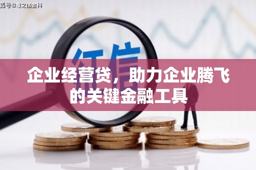大丰企业经营贷，助力企业腾飞的关键金融工具