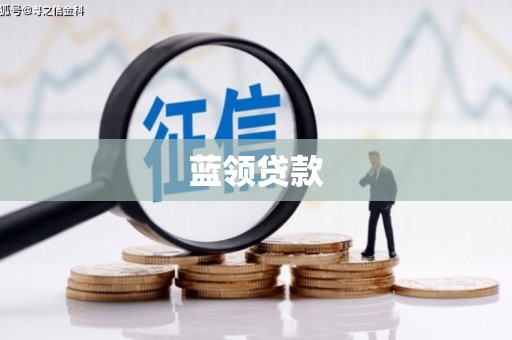 大丰蓝领贷款