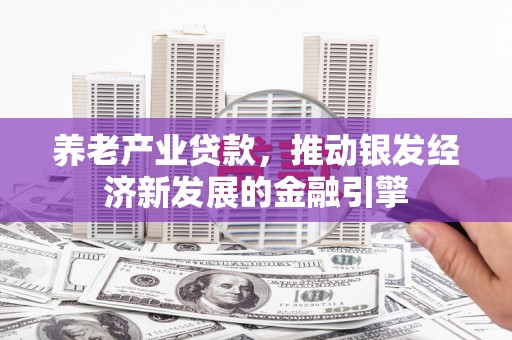 大丰养老产业贷款，推动银发经济新发展的金融引擎
