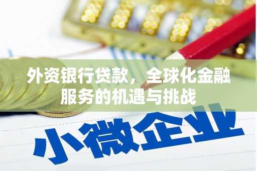 大丰外资银行贷款，全球化金融服务的机遇与挑战