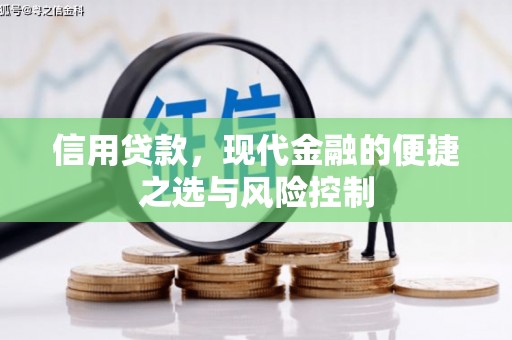 大丰信用贷款，现代金融的便捷之选与风险控制