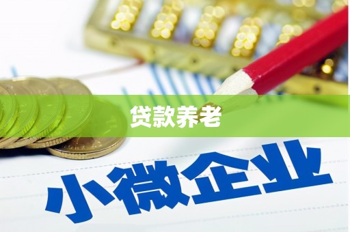 大丰贷款养老