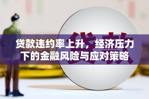 大丰贷款违约率上升，经济压力下的金融风险与应对策略