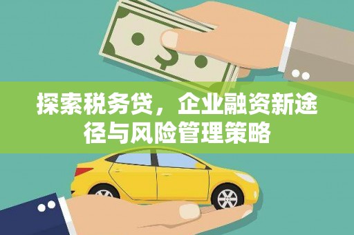 大丰探索税务贷，企业融资新途径与风险管理策略
