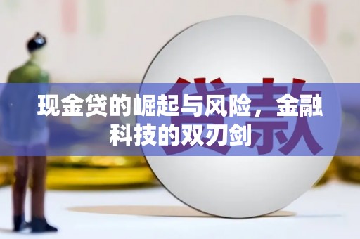 大丰现金贷的崛起与风险，金融科技的双刃剑