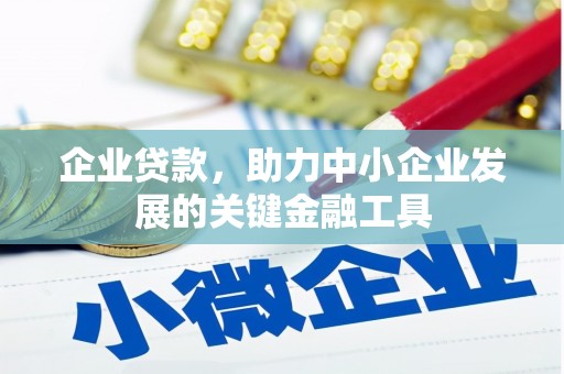 大丰企业贷款，助力中小企业发展的关键金融工具