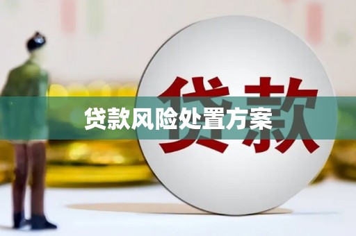 大丰贷款风险处置方案