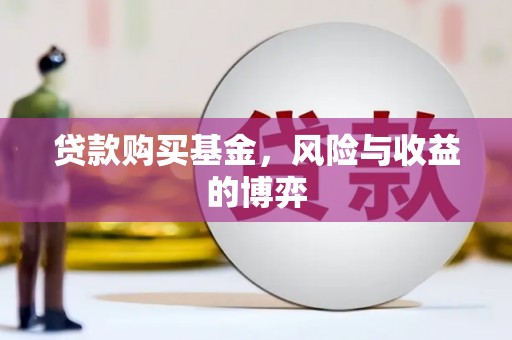 大丰贷款购买基金，风险与收益的博弈