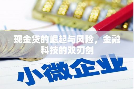 大丰现金贷的崛起与风险，金融科技的双刃剑