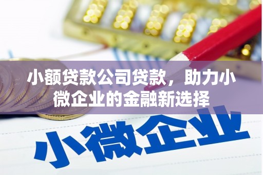 大丰小额贷款公司贷款，助力小微企业的金融新选择