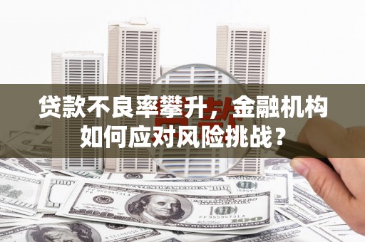 大丰贷款不良率攀升，金融机构如何应对风险挑战？