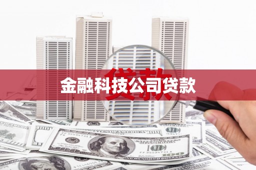 大丰金融科技公司贷款