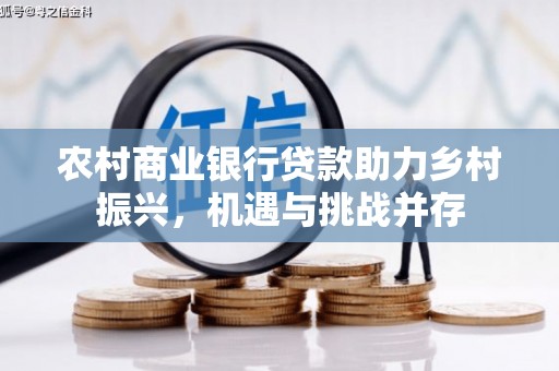 大丰农村商业银行贷款助力乡村振兴，机遇与挑战并存