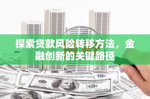 大丰探索贷款风险转移方法，金融创新的关键路径