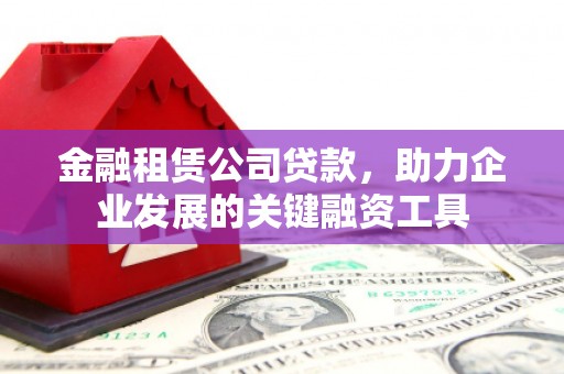 大丰金融租赁公司贷款，助力企业发展的关键融资工具