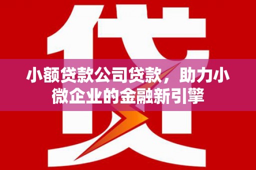大丰小额贷款公司贷款，助力小微企业的金融新引擎