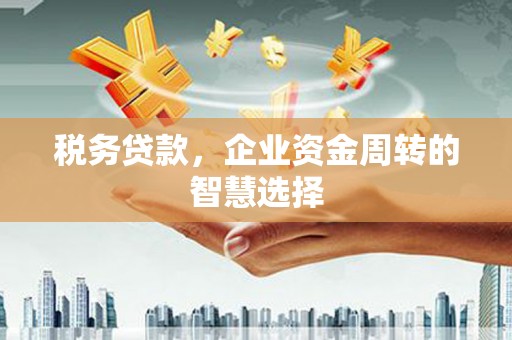 大丰税务贷款，企业资金周转的智慧选择