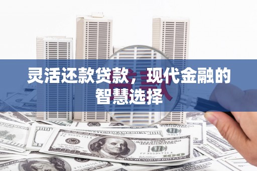 大丰灵活还款贷款，现代金融的智慧选择