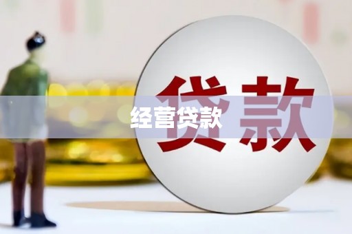 大丰经营贷款