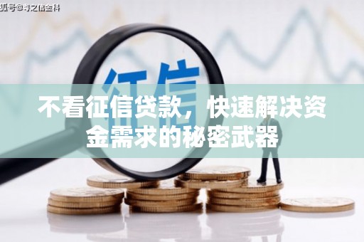 大丰不看征信贷款，快速解决资金需求的秘密武器