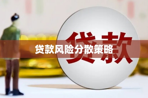 大丰贷款风险分散策略