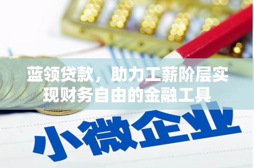 大丰蓝领贷款，助力工薪阶层实现财务自由的金融工具