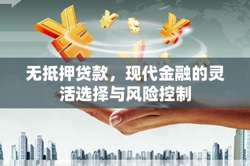 大丰无抵押贷款，现代金融的灵活选择与风险控制