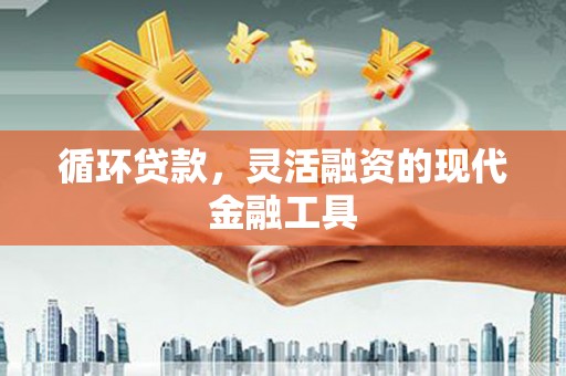 大丰循环贷款，灵活融资的现代金融工具