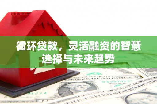 大丰循环贷款，灵活融资的智慧选择与未来趋势