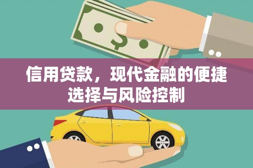 大丰信用贷款，现代金融的便捷选择与风险控制