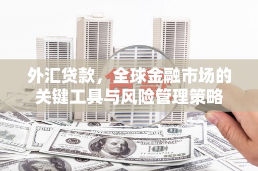 大丰外汇贷款，全球金融市场的关键工具与风险管理策略