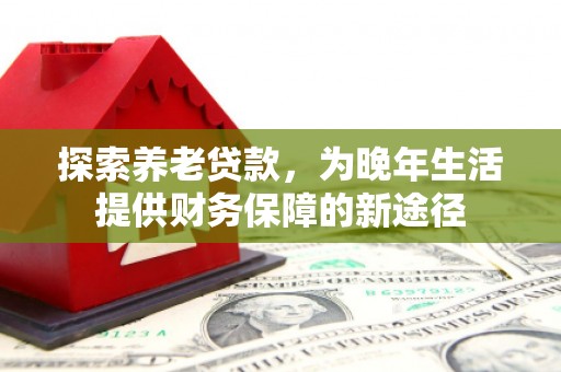 大丰探索养老贷款，为晚年生活提供财务保障的新途径