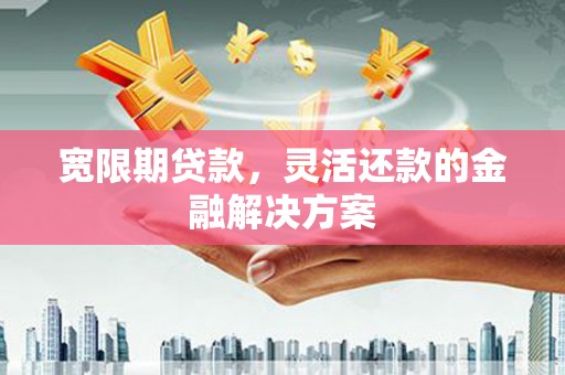 大丰宽限期贷款，灵活还款的金融解决方案