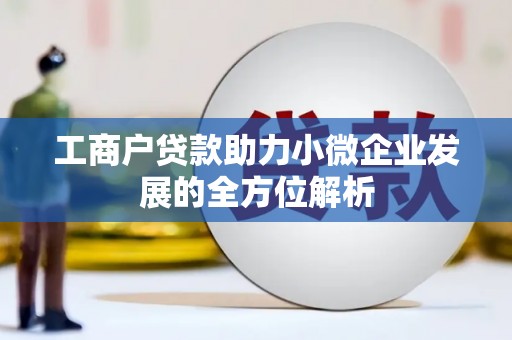 大丰工商户贷款助力小微企业发展的全方位解析