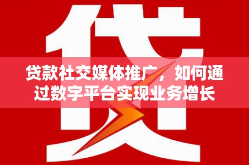 大丰贷款社交媒体推广，如何通过数字平台实现业务增长