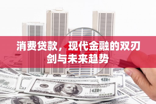 大丰消费贷款，现代金融的双刃剑与未来趋势