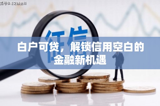大丰白户可贷，解锁信用空白的金融新机遇