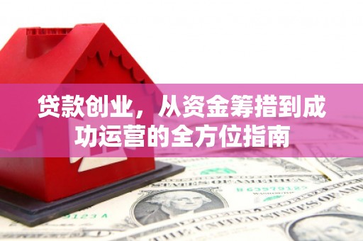 大丰贷款创业，从资金筹措到成功运营的全方位指南