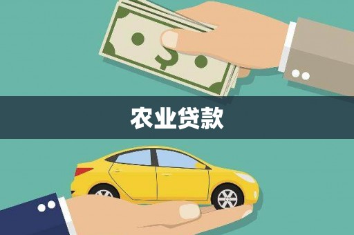 大丰农业贷款
