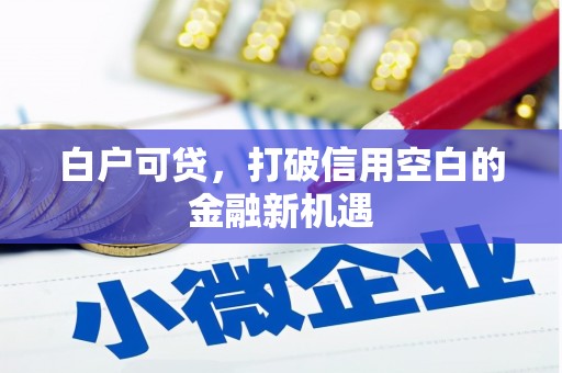 大丰白户可贷，打破信用空白的金融新机遇