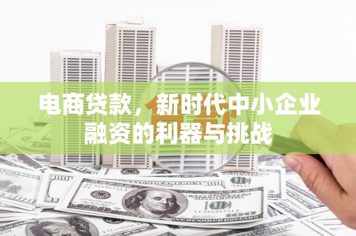 大丰电商贷款，新时代中小企业融资的利器与挑战