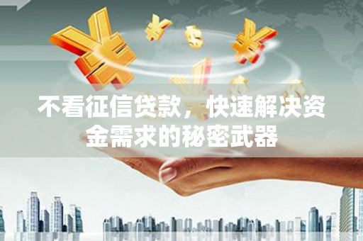 大丰不看征信贷款，快速解决资金需求的秘密武器
