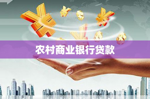 大丰农村商业银行贷款