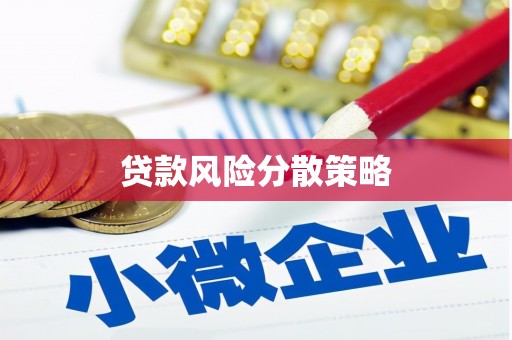 大丰贷款风险分散策略