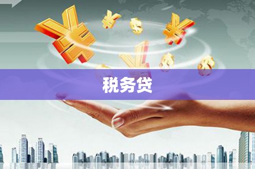 大丰税务贷