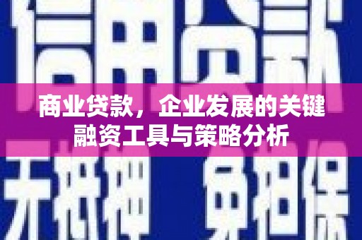 大丰商业贷款，企业发展的关键融资工具与策略分析