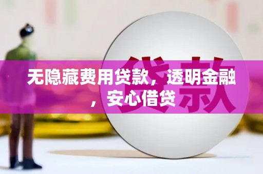 大丰无隐藏费用贷款，透明金融，安心借贷
