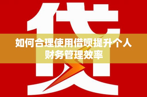 大丰如何合理使用借呗提升个人财务管理效率