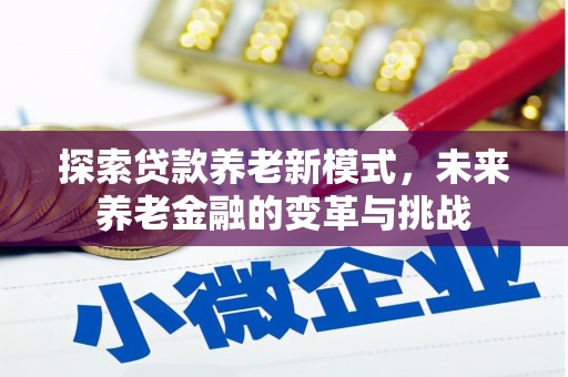 大丰探索贷款养老新模式，未来养老金融的变革与挑战