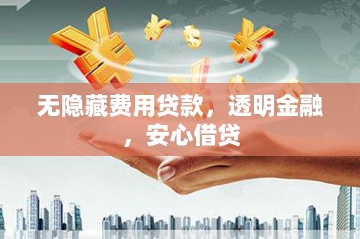 大丰无隐藏费用贷款，透明金融，安心借贷